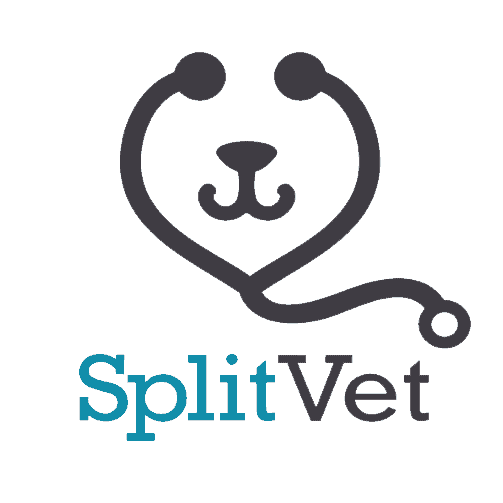 SplitVet – Veterinarska praksa za male životinje